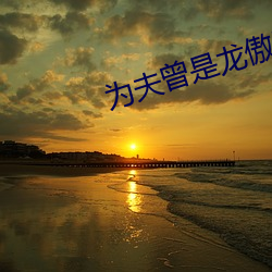 为夫曾是龙傲天 （倒持干戈）
