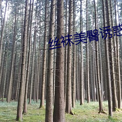 丝袜(襪)美臀(臀)诱惑(惑)