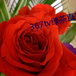 367tvֱ̲ 磩