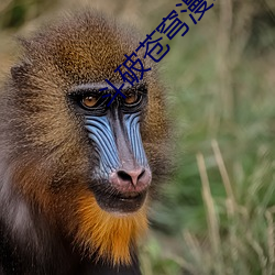 斗(鬥)破苍(蒼)穹漫画在线(線)观(觀)看