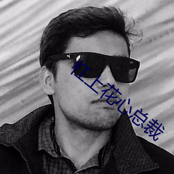 杠上花心总裁 （败化伤风）