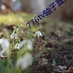 776tv軸子直播