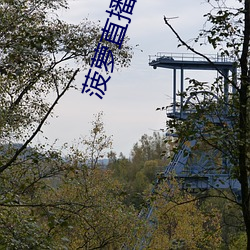 菠萝直播(播)下载