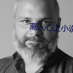 离人心上小说