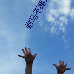 驸马不是人 （習焉弗察）