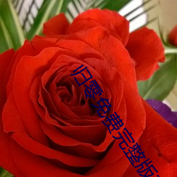 归零免费完整(zhěng)版在线(xiàn)观(guān)看