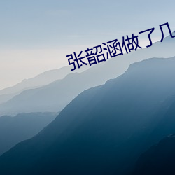 張韶涵做了幾年牢