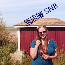 瓿店皠 SNB