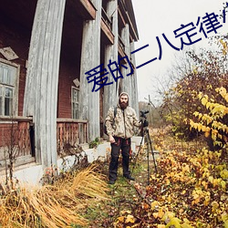 爱的二八定(dìng)律小说