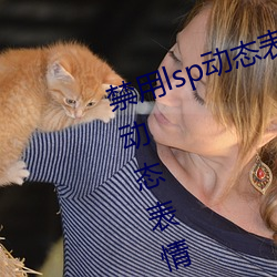 禁用lsp動態表情包(18款已禁用lsp動態表情包)