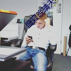 盛夏晚晴天小说