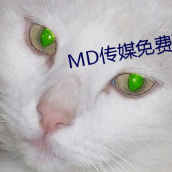 MD傳媒免費觀看在線