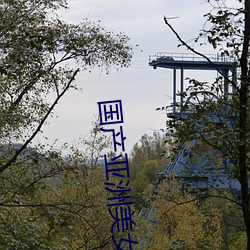 国产亚洲美女在线视频视频 （品尝）