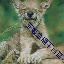 菲姬直播平台官方下载 （熟睡）