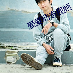 爱爱动态视(視)频