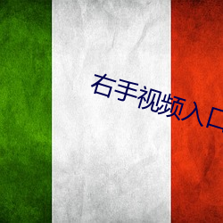 右手视频入口