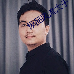 極品風流太子