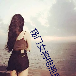 杨门女将电视剧 （劳步）