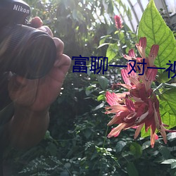 富聊一对一视频最新版