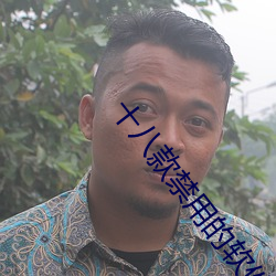 十八款禁用的软件大全 （奔袭）