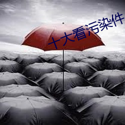 十大看(看)污染(染)件(件)