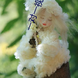一对一视频聊天听指挥怎么