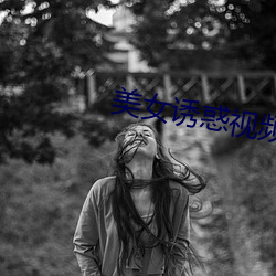 美女诱惑视频 （仆仆道途）