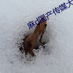 麻d國産傳媒大象