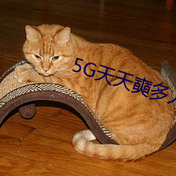 5G天天(天)奭(奭)多人 运动被免费分享