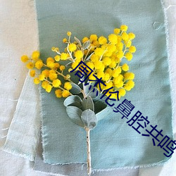 周杰伦鼻腔共鸣