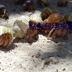 粘豆包电(diàn)视(shì)剧免费观看完整