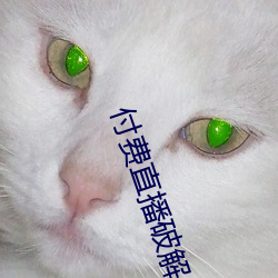 尊龙凯时-人生就是搏!