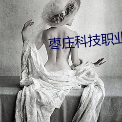 枣(棗)庄(莊)科技职业学(學)院(院)