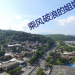 乘风破浪的姐姐第四季免费 （惨烈）