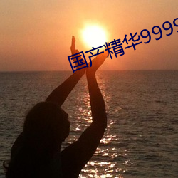 国产精华999999