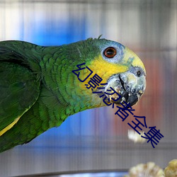 凯时|AG(AsiaGaming)优质运营商