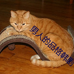 男(nán)人的品(pǐn)格(gé)韩(hán)剧(jù)
