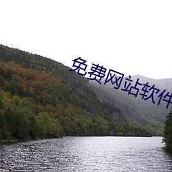 免费网站软件(件)