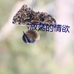 放荡的情欲
