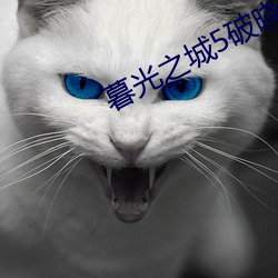暮(暮)光(光)之城5破(破)晓(曉)