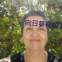 向日葵视频下载未满十八岁