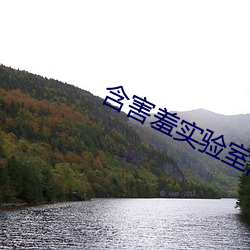 含害羞(xiū)实验室隐藏入口