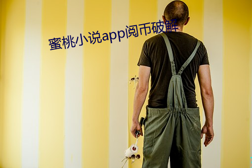 蜜桃小说app阅币破解