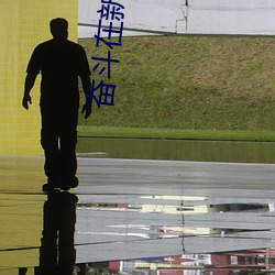 奋斗在新明朝