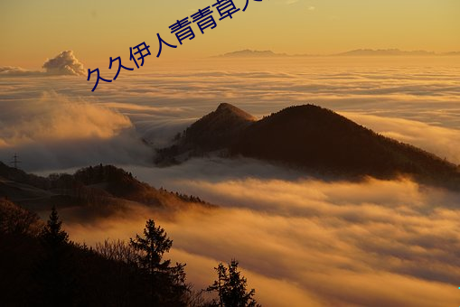 尊龙凯时-人生就是搏!