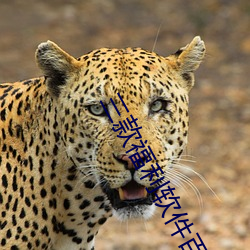 三款(款)福(福)利软件(件)百度(度)云