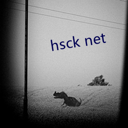 hsck net