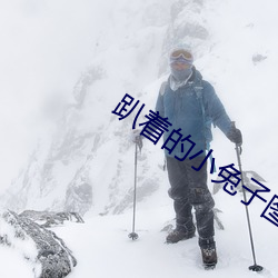 趴着(zhe)的小兔(tù)子(zi)图片