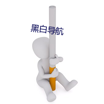 黑白导航