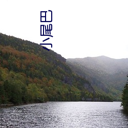 小尾(wěi)巴